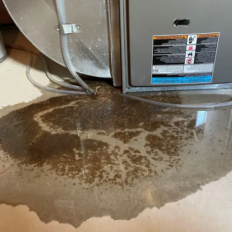 Pipe Burst and Leak Restoration in Warsaw, IN